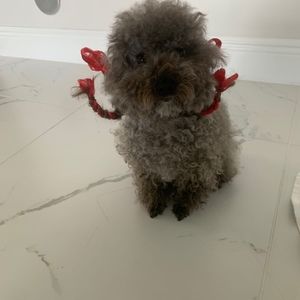 Meet your Posher, Raymond